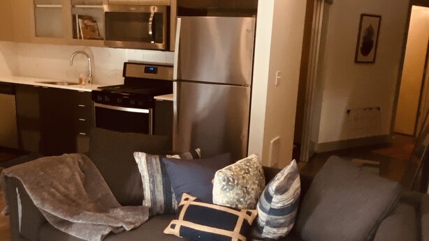 A modern living room with a grey sofa, patterned rug, and a kitchen area with stainless steel appliances. - Enjoy Seattle with comfort and style! (Seattle)
