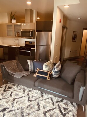 A modern living room with a grey sofa, patterned rug, and a kitchen area with stainless steel appliances.
