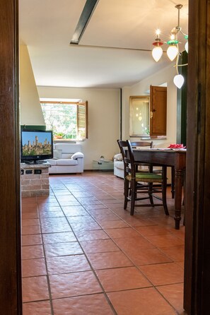 TV, fireplace - Villa Beatrice, a barn in the heart of Tuscany! (Monteriggioni Siena)