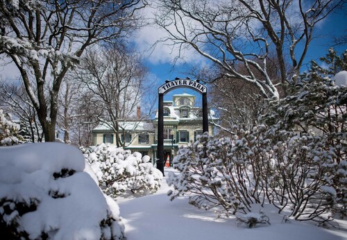 Luxurious pet friendly 3 bedroom home. Walking distance to downtown Skaneateles!