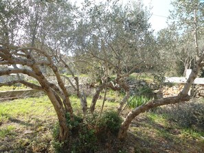 Overnattingsstedets uteområder