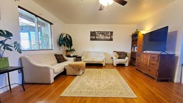 Smart TV, DVD player, video library