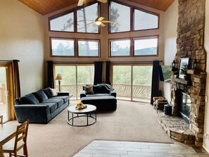 TV connectée, cheminée, lecteur de DVD