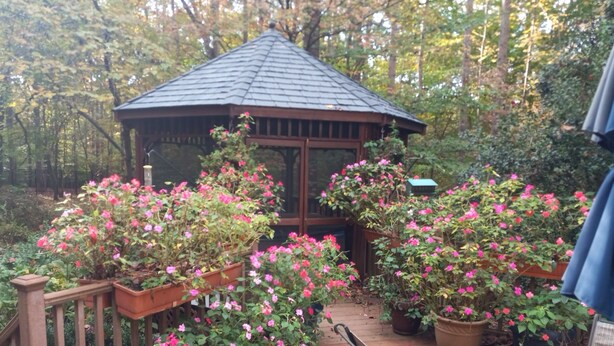 Une terrasse en bois agrémentée de plantes en pot et d’un belvédère.