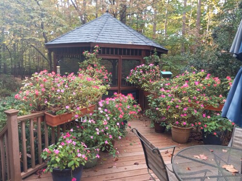 2715 sq ft house on secluded, wooded lot in Hillsborough, NC