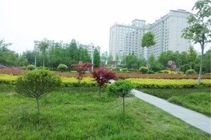 未分類圖片，第 3 張 (共 30 張)，按鈕