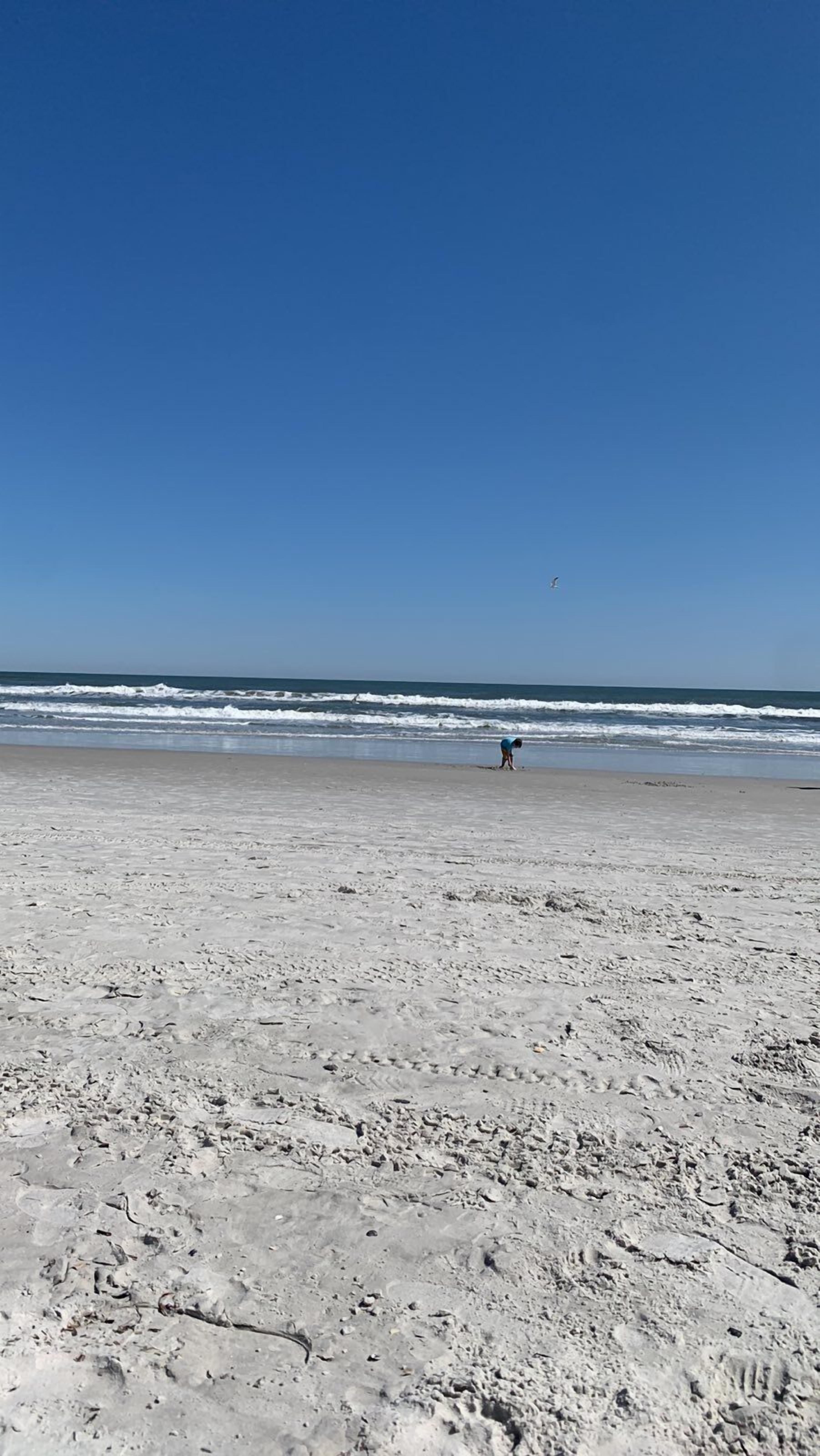 Beautiful 3 Bed 2.5 Bath townhouse