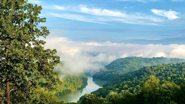 A group of Adirondack chairs arranged around a fire pit on a grassy hill overlooking a river and forested valley. - Norris Lake FarmHouse w/ Lakeviews, access and 140 acres to play. (LaFollette)