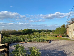 Área da propriedade