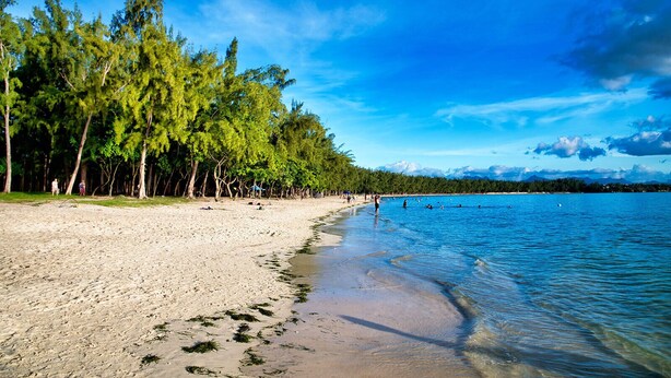 Una playa con agua azul cristalina, orilla de arena y árboles frondosos.