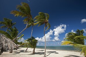 A beach with palm trees and a clear sky. - Comfy condo minutes from downtown & Free Parking (Christiansted)