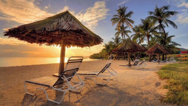 A beach with lounge chairs and thatched umbrellas, palm trees, and a sunset view.