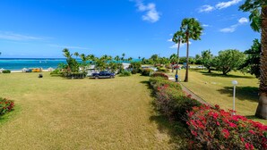 A grassy area with palm trees, a pathway, and a view of the ocean.