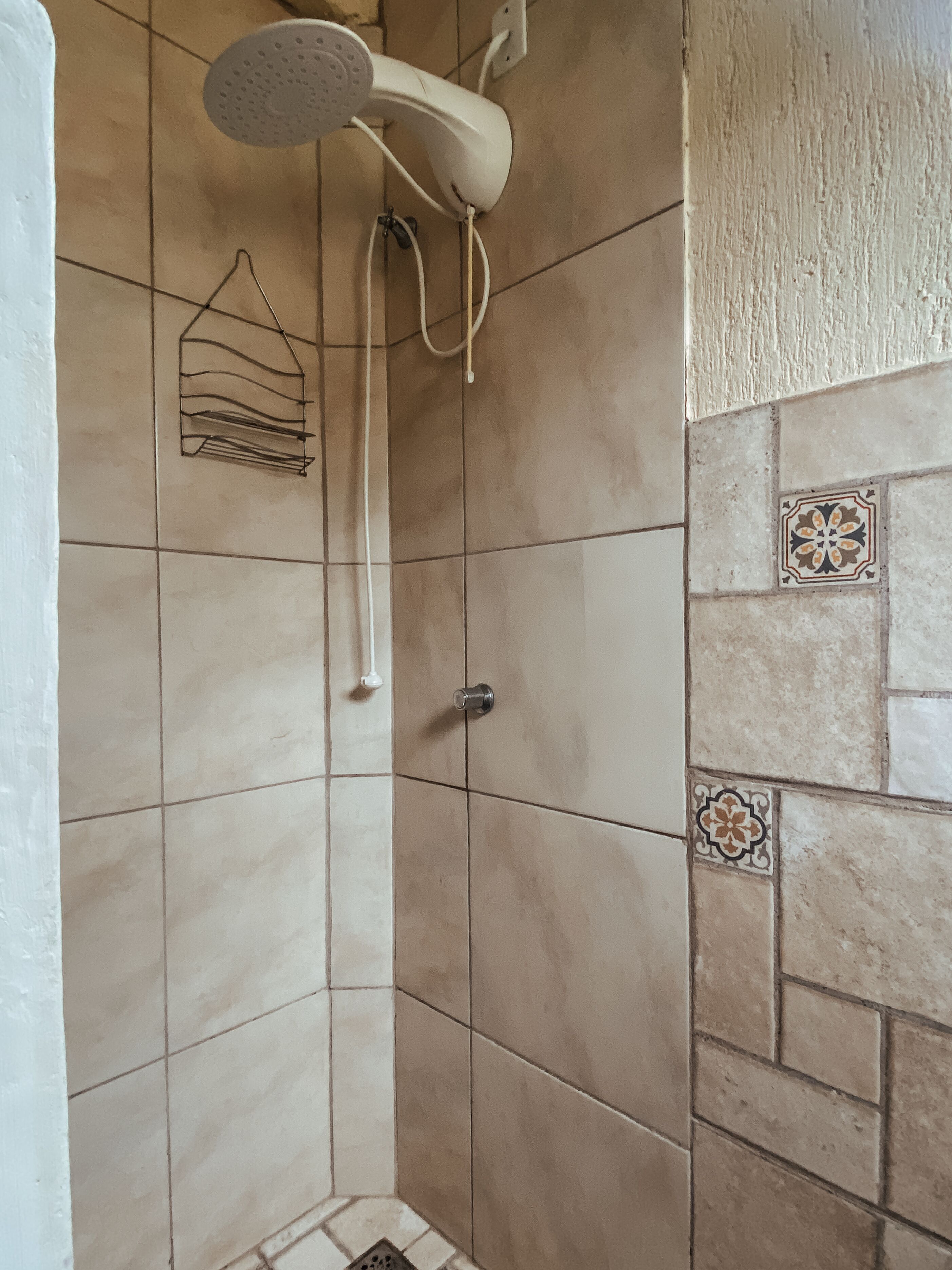 A shower with a handheld showerhead and a wall-mounted control.