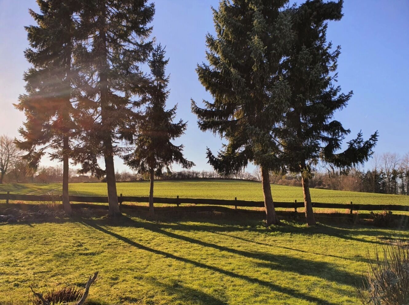 Ferienhaus Daliah an der Ostsee, mitten in der Natur!