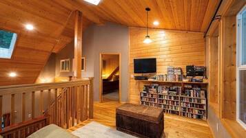 Smart-tv, een open haard, een dvd-speler en een filmbibliotheek