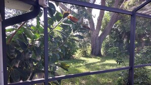 Une vue à travers une paroi vitrée dotée d’un cadre métallique, qui donne sur une zone herbeuse, des arbres et un grand tronc d’arbre.