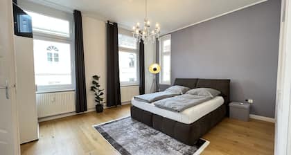 Cozy big apartment near City