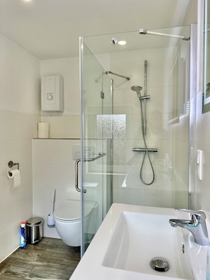A modern bathroom with a glass-enclosed shower, a white sink, and a toilet.