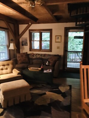 Smart TV, fireplace, video games, DVD player