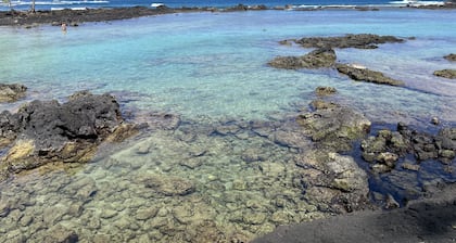 Restored Historic Mansion with Modern Amenities Steps to the Beach!