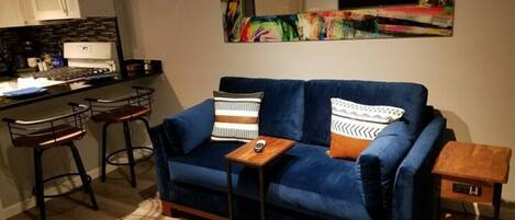 Smart TV, fireplace, books