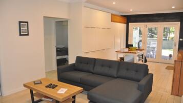 Smart TV, DVD player, books