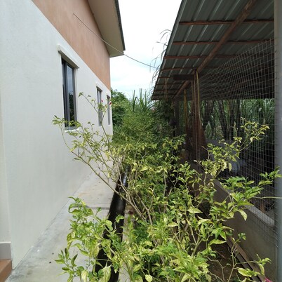 Cozy house in Rural Area at Kampung Kalai, Surrounded with village and forest