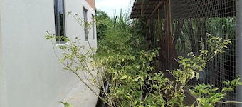 Cozy house in Rural Area at Kampung Kalai, Surrounded with village and forest
