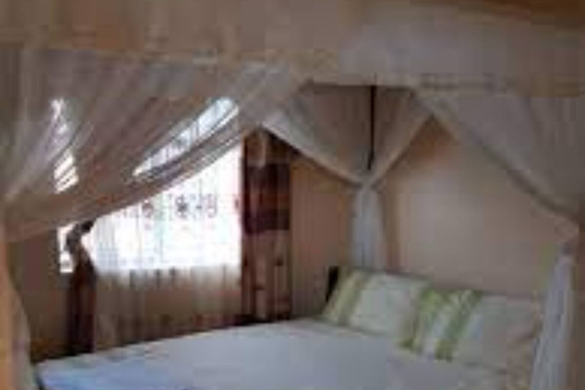A single bed with a canopy, a bedside table, and a window with curtains.