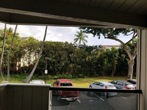 A view from inside a building, looking out onto a parking area with several cars and lush greenery, including palm trees. - Apartment in town-walking distance to everything (Kailua-Kona)