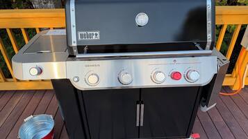 Kabin Basic, 1 kamar tidur, dapur, pemandangan danau | Teras/patio