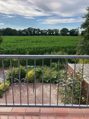 Immagine non classificata, 5 di 18, pulsante