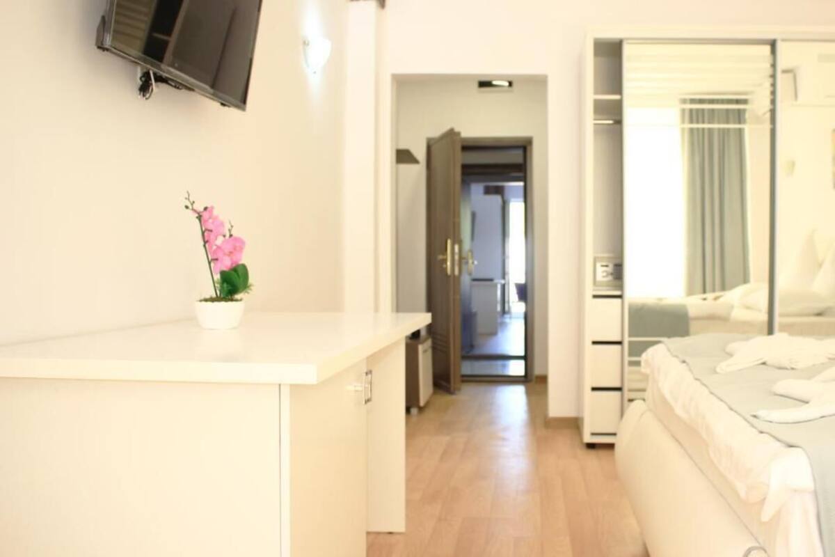A modern hotel room with a bed, a desk, a potted plant, and a wardrobe.