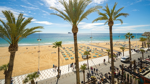 A beach with palm trees, a promenade, and a view of the sea. - Holiday Apartment "WG1 Benidorm" Near the Beach with Sea View, Balcony, Air Conditioning and Wi-Fi (Benidorm)
