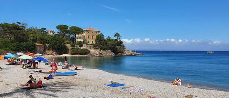 بالقرب من الشاطئ