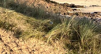 Private pool villa - 5*