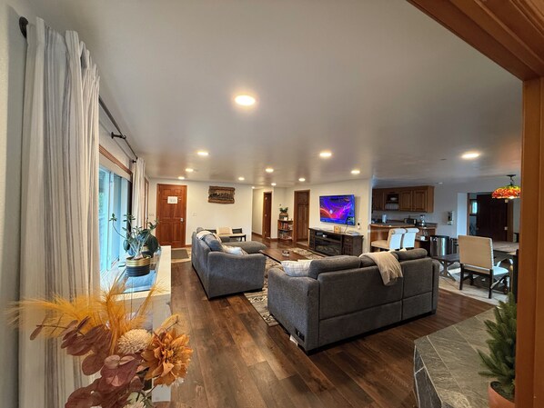 Smart TV, fireplace, books, music library