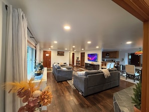 Smart TV, chimenea, libros y biblioteca musical