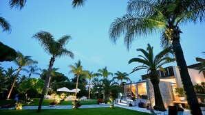Una casa moderna con un jardín bien cuidado, que incluye palmeras y un camino que lleva a la entrada.