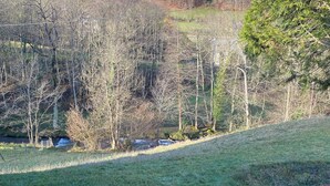 Un campo cubierto de hierba con vistas a una ladera boscosa y un pequeño arroyo.