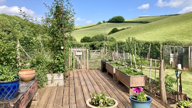 Eine Holzterrasse mit Kübelpflanzen und einem Holztor mit der Aufschrift 'Veg Patch'.