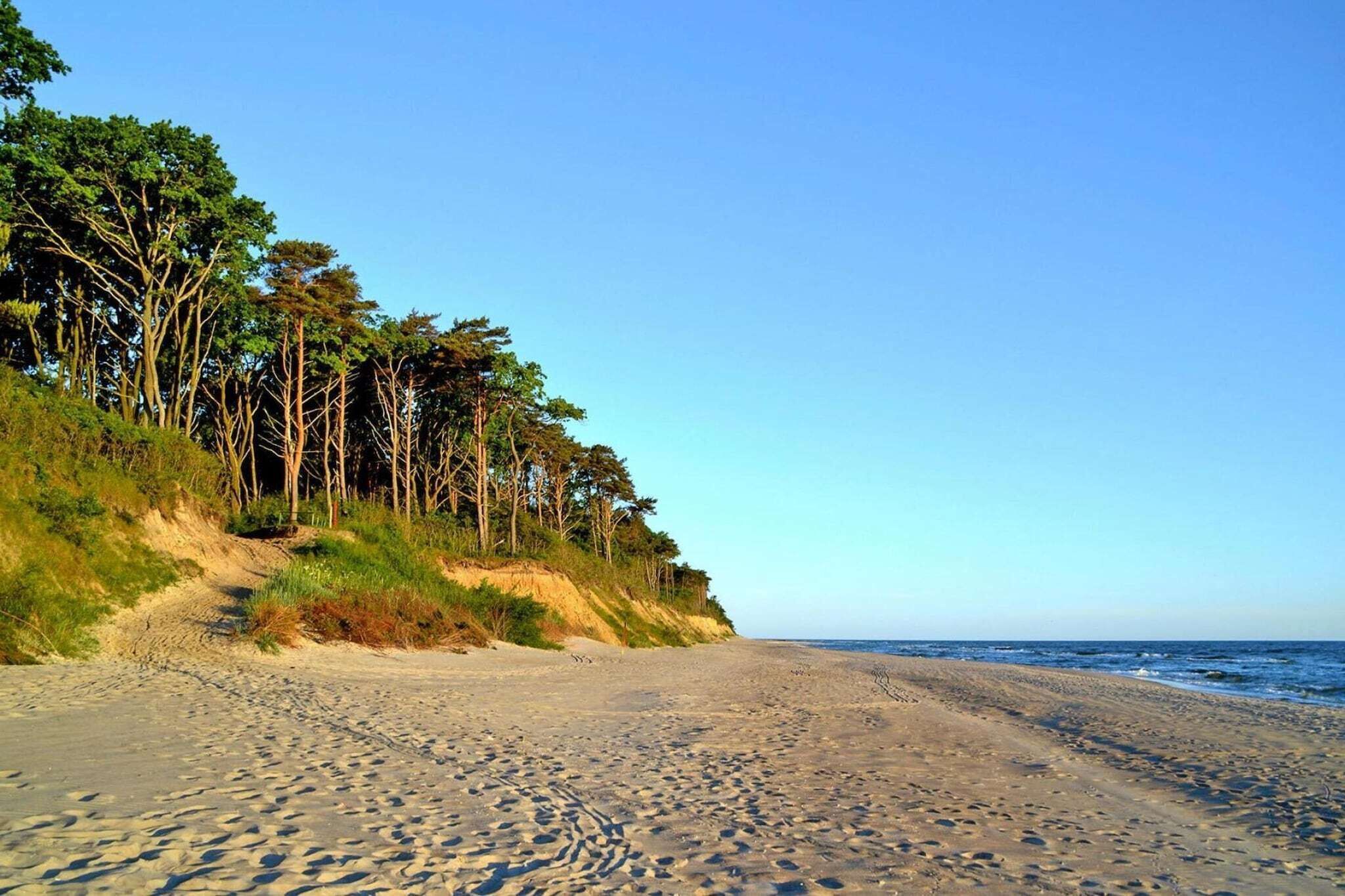 بالقرب من الشاطئ