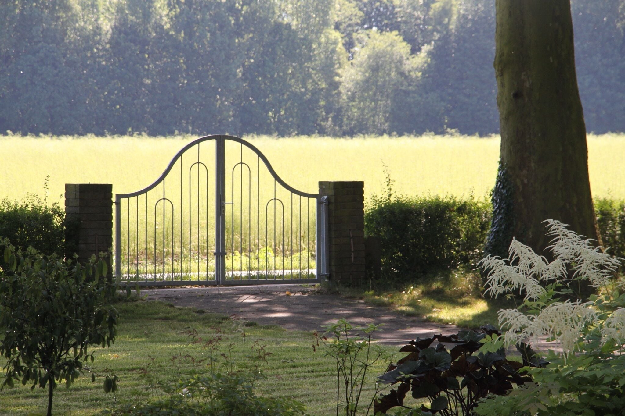 Ein verschlossener Eingang mit einem Metallgitter, umgeben von Grünflächen und einem Weg, der zu einem Feld führt.