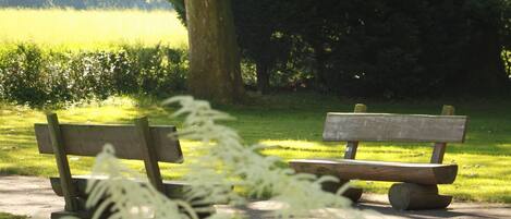 Two wooden park benches on a paved path with grass and trees in the background.