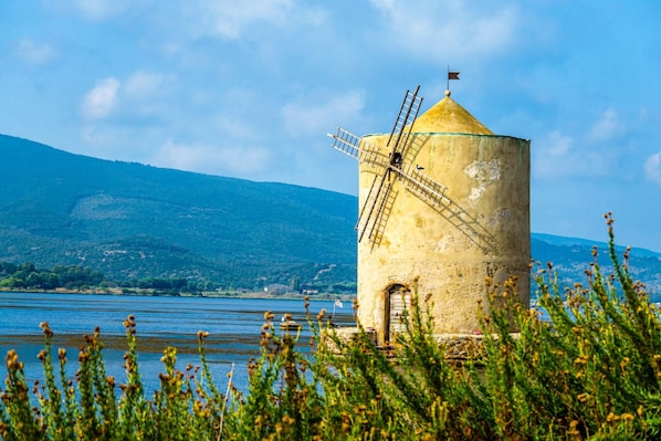 A windmill by a lake with a mountain in the background.