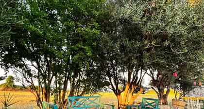 Tenedos Tatil Odaları