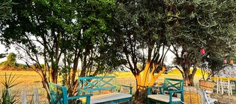 Tenedos Tatil Odaları