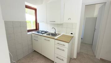 Fridge, stovetop, cookware/dishes/utensils