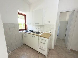 Fridge, stovetop, cookware/dishes/utensils